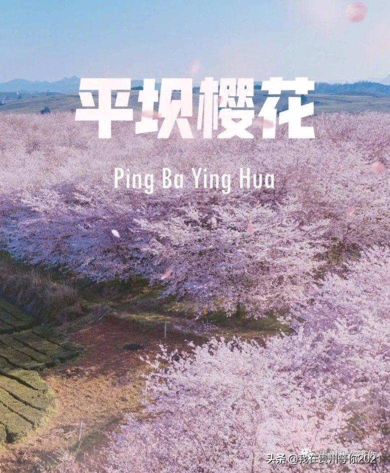 警察战僵尸无敌版