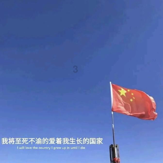 破碎的动物图形