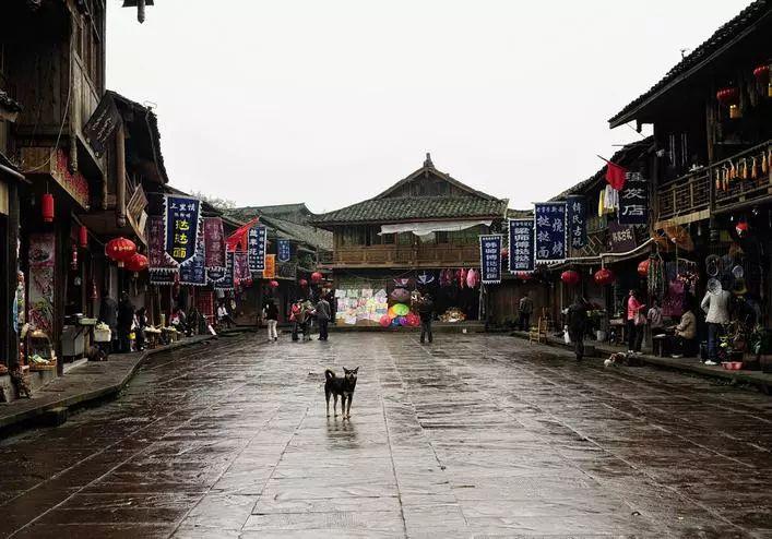 坦克出行